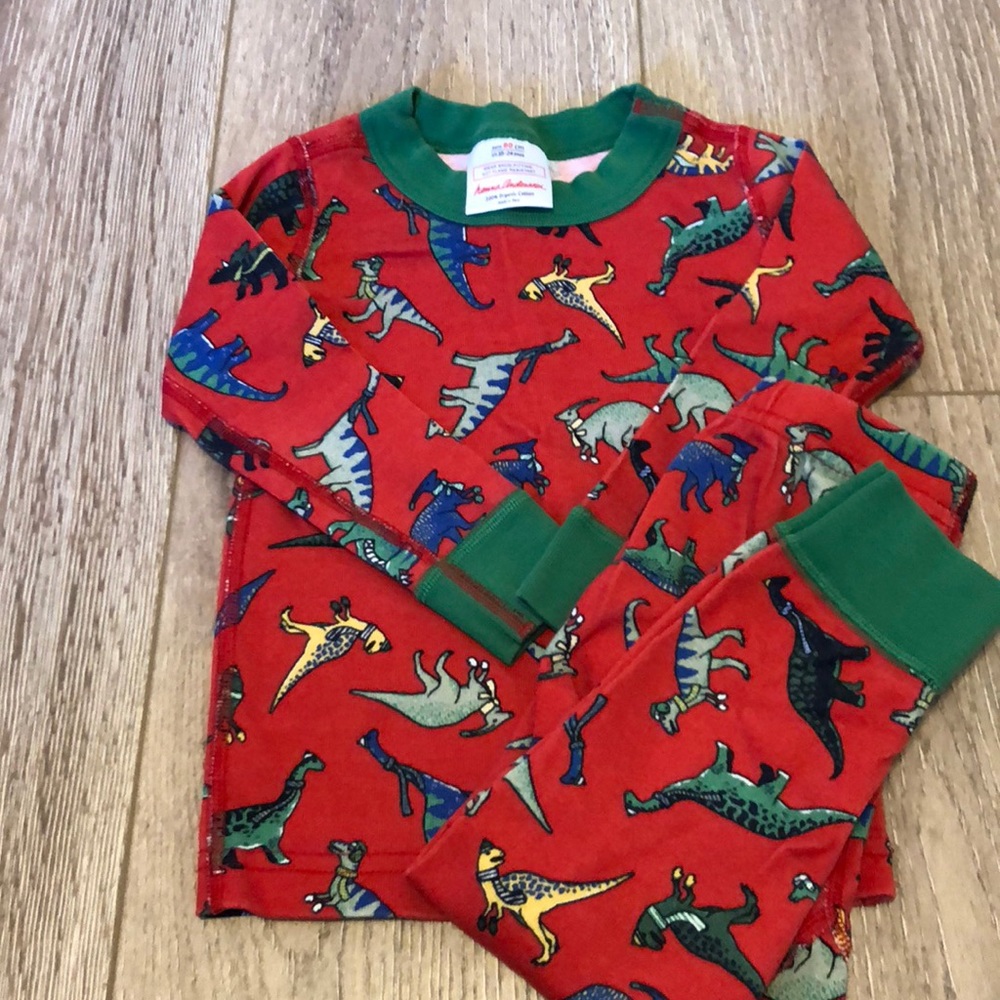 Winter Dinosaur Hanna Anderson 2pc